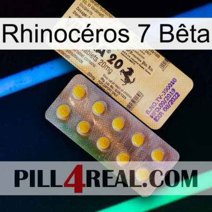 Rhinocéros 7 Bêta new06